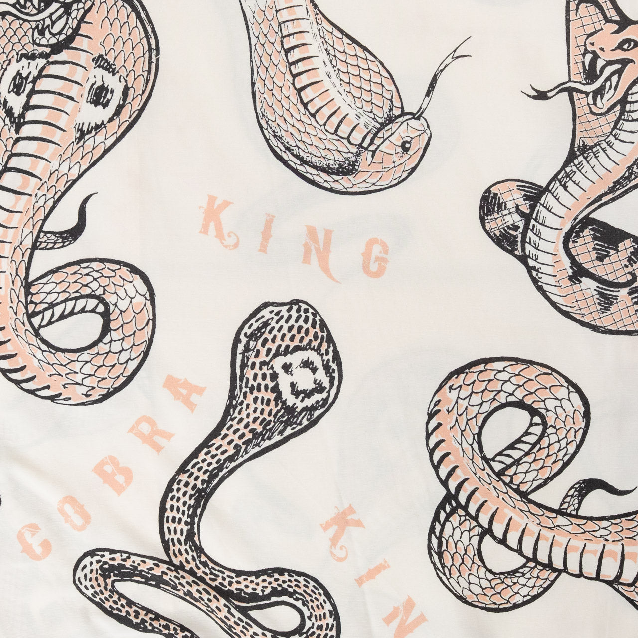 Star of Hollywood "King Cobra" by Vince Ray