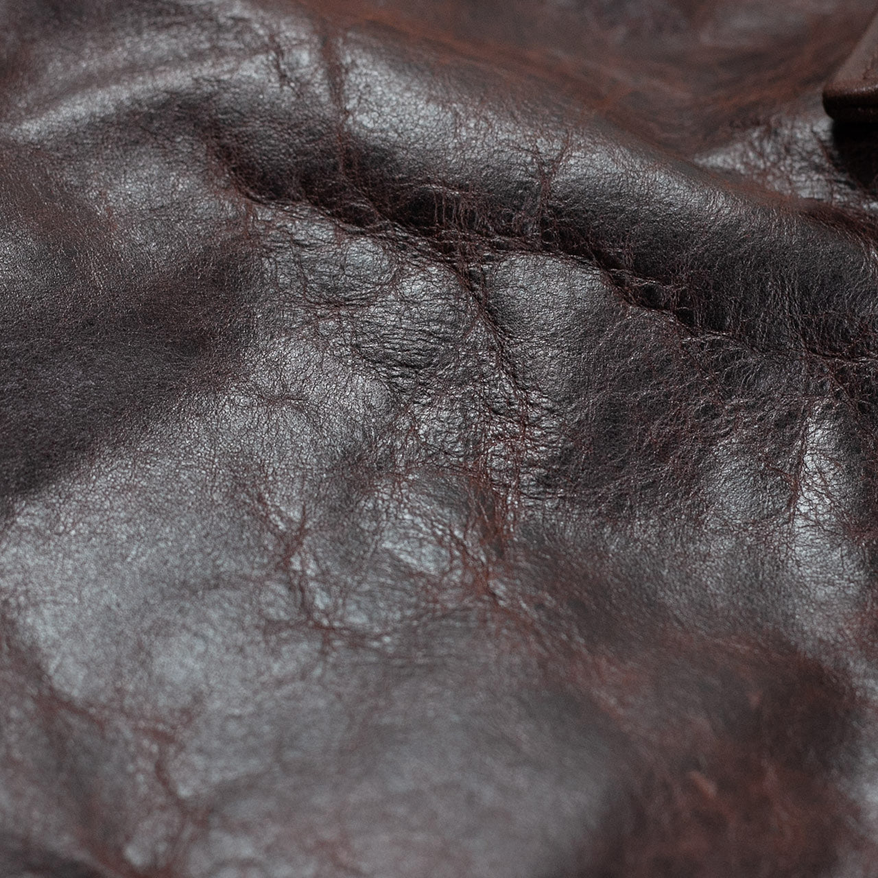 Lederjacke "Youth of America" Brown Horse